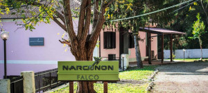 Narconon Falco - recupero da droghe e alcol